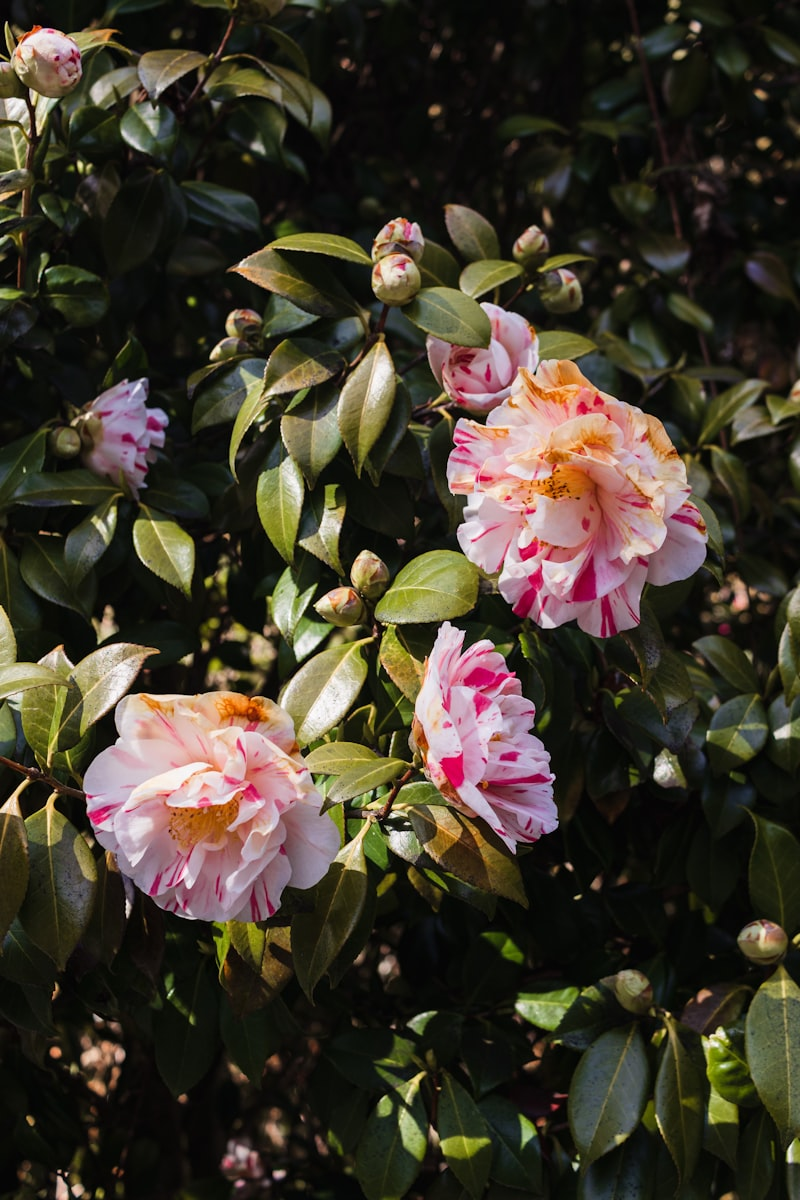 Oneiro floral arrangement at a grand event